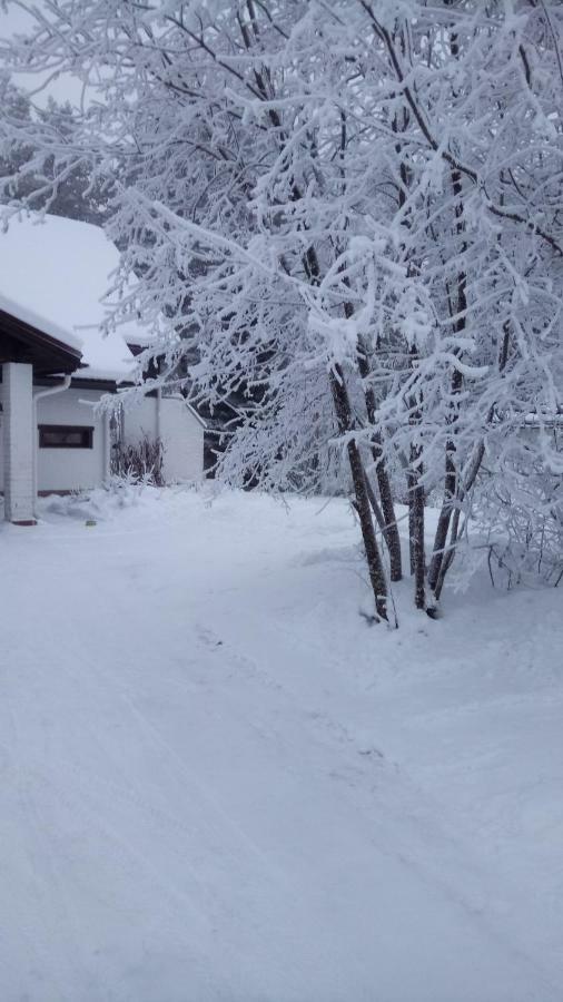 Villa The House Near Santa Park Rovaniemi Exterior foto